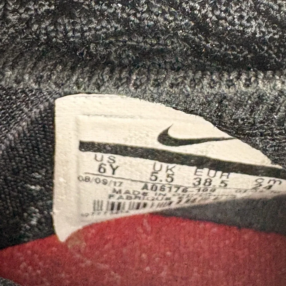 Nike lebron xv